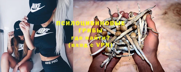 ALPHA PVP Аркадак