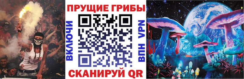 даркнет наркотические препараты Сурск Псилоцибиновые грибы Psilocybe